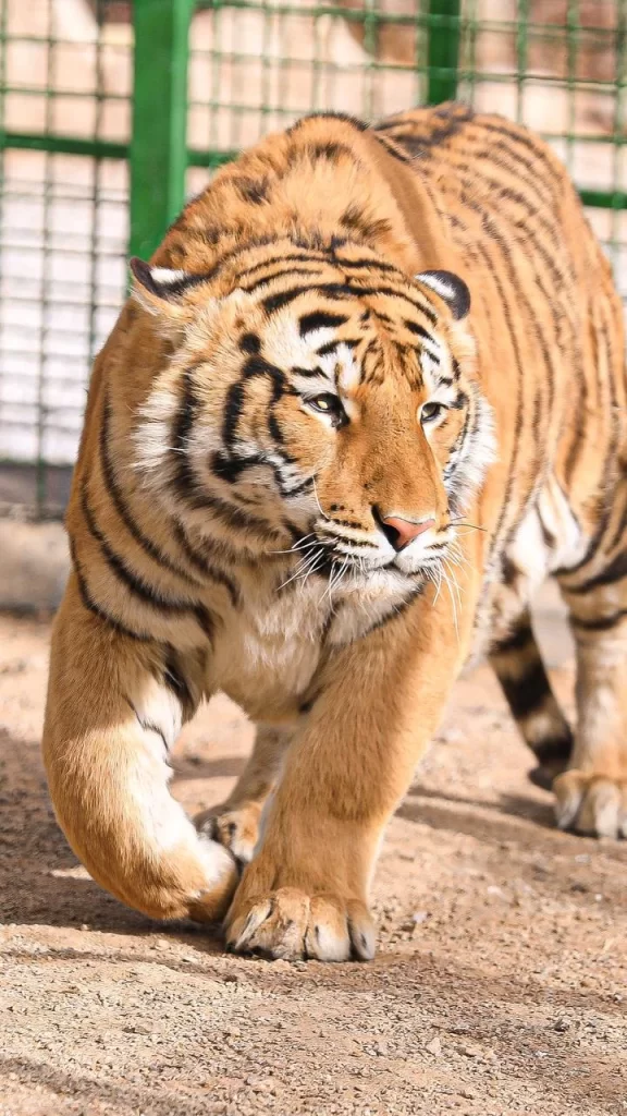 تصویر جلد آگهی