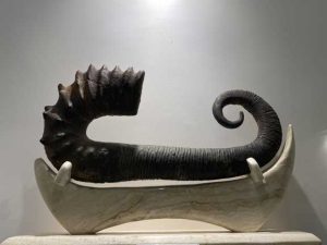نمونه فسیل‌های دوره کامبرین در موزه دیرینه‌شناسی یزد موزه کامبرین